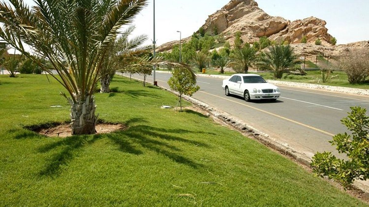 Al Ain’da yeni işletme lisansları yüzde 35 arttı